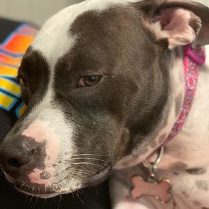 Meet your Posher, Tiffany